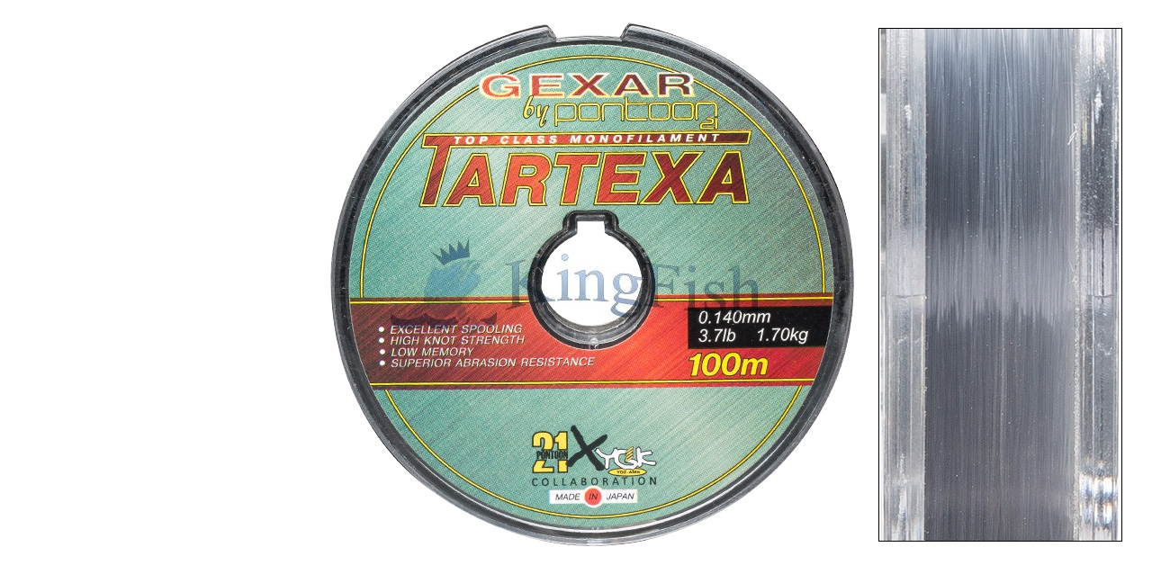 P21 Lines NL_0021_Gexar Tartexa 3