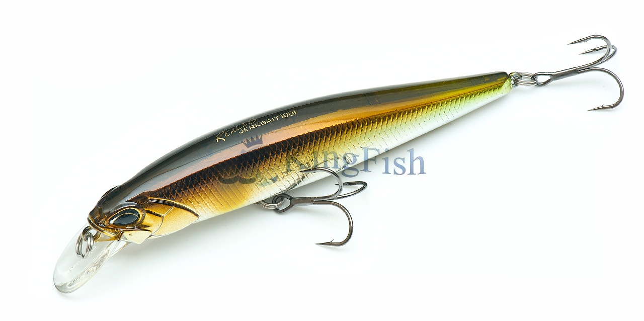 DUO NL_0068_Realis Jerkbait 100F