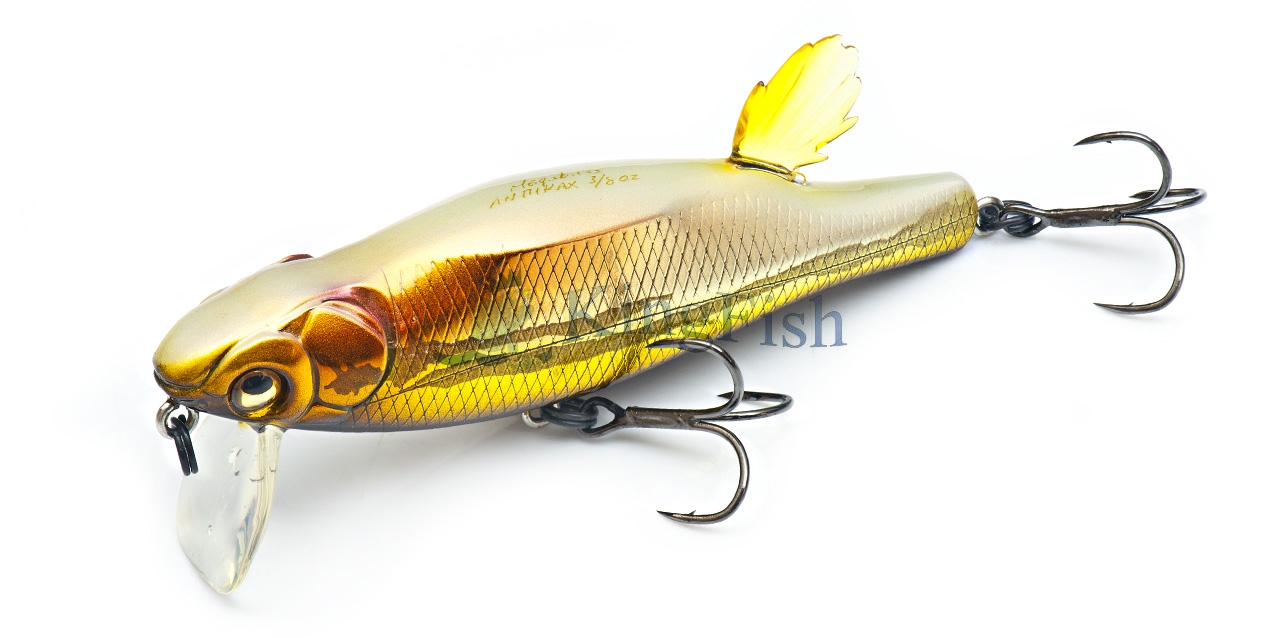 MB lures NL_0232_Anthrax