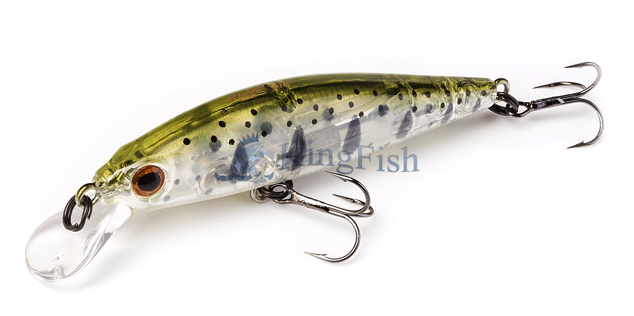 ZB NL_0103_Rigge Flat 50S