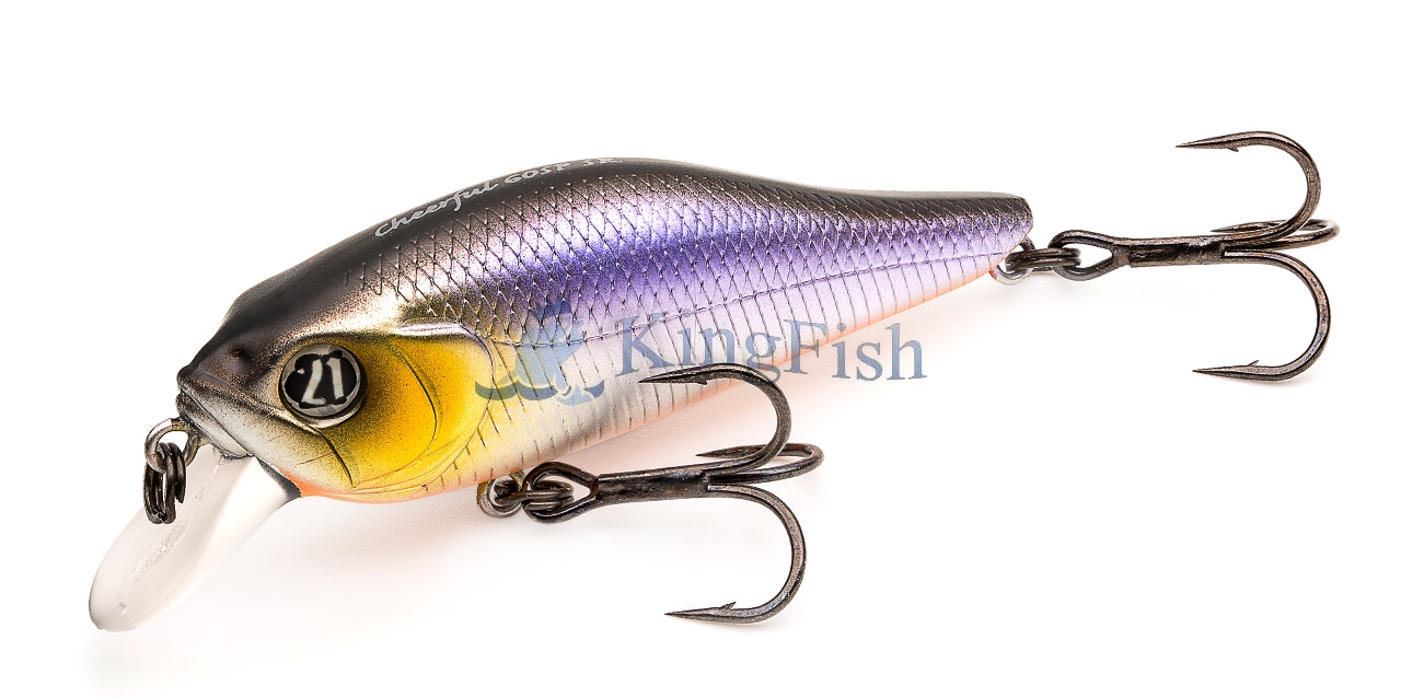 P21 NL_0168_Cheerful 60F SR