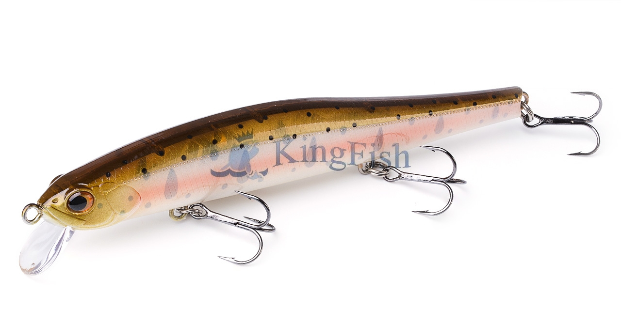 ZB NL_0027_ZBL System minnow 15F 1