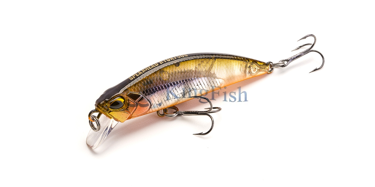 DUO NL_0021_Spearhead Ryuki 50S