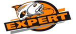 Логотип Expert