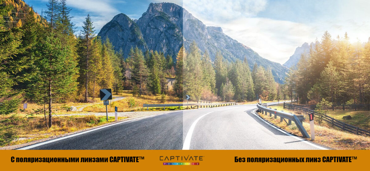 captivate