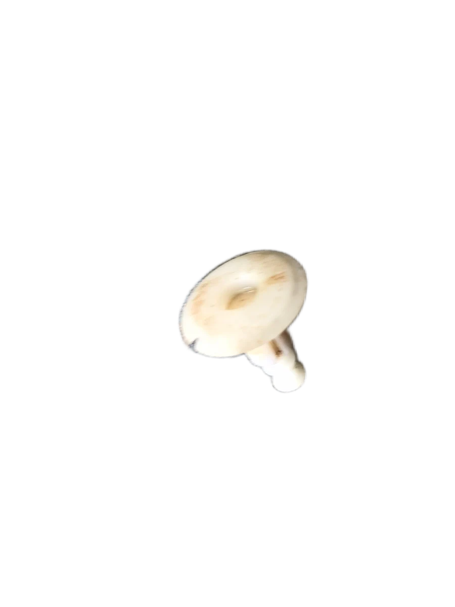 Заклепка 902690880100