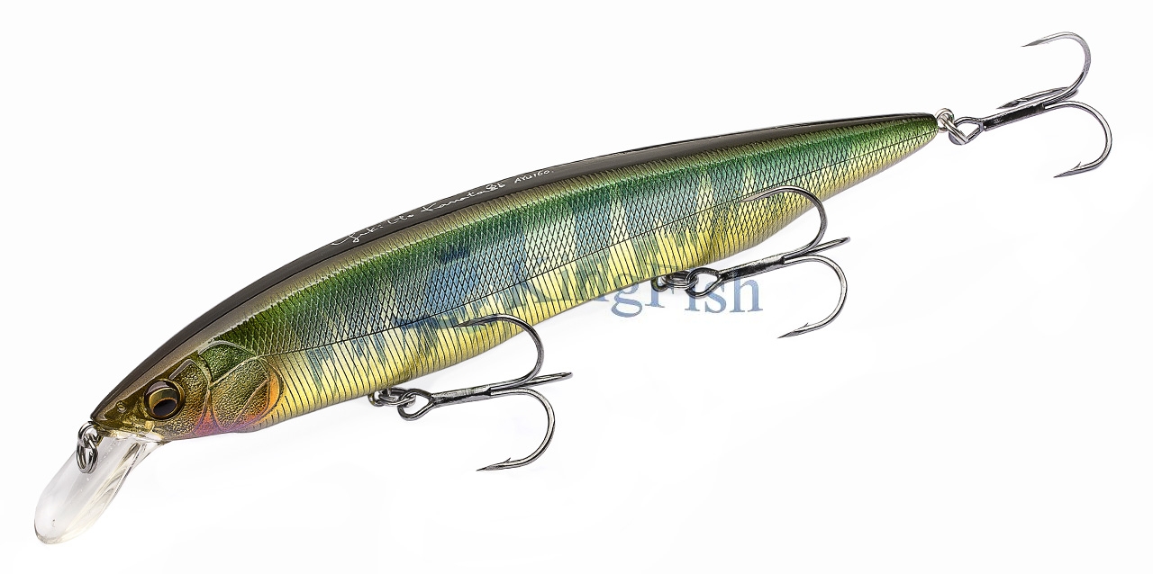 MB lures NL_0125_Kanata 1