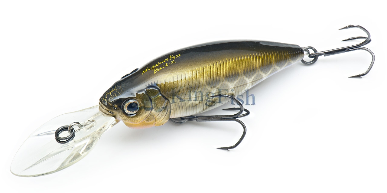MB lures NL_0222_Bait-X Concept
