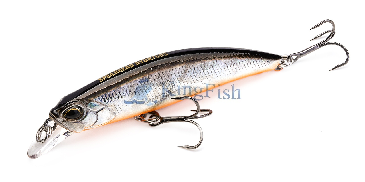 DUO NL_0020_Spearhead Ryuki 60S