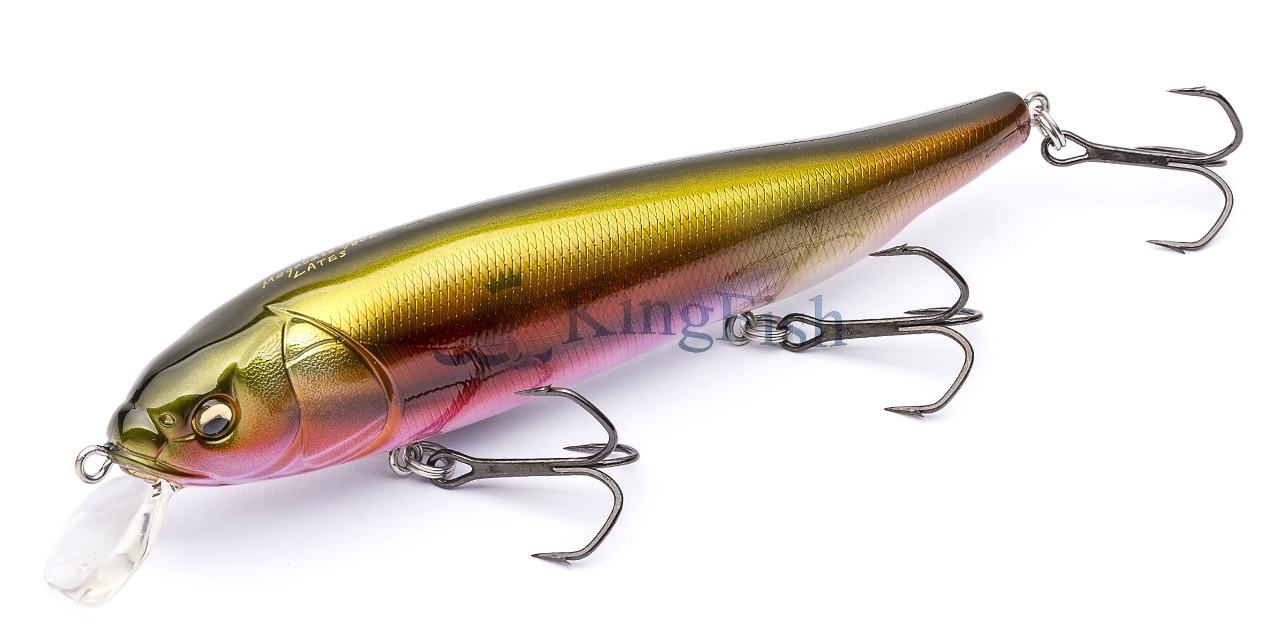 MB lures NL_0116_Lates 3