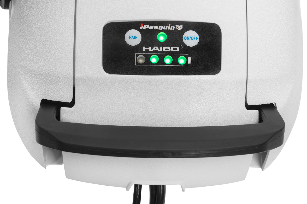 Электромотор лодочный Haibo iPenguin P65 3