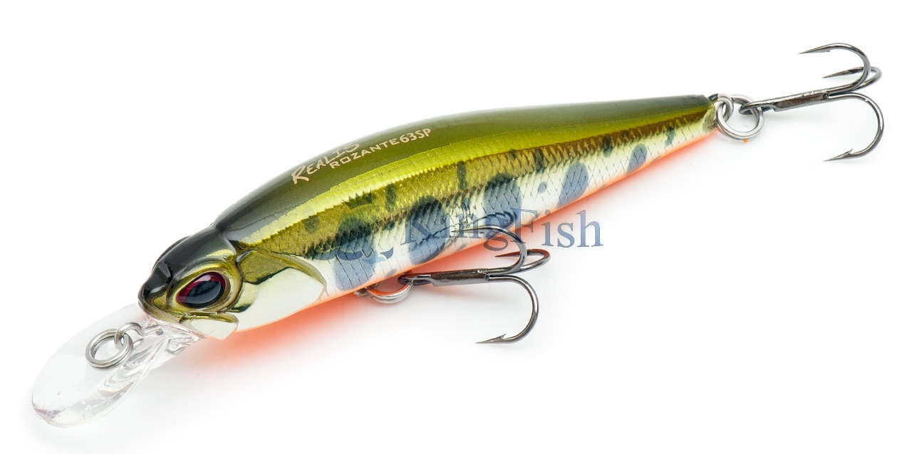 DUO NL_0041_Realis Rozante