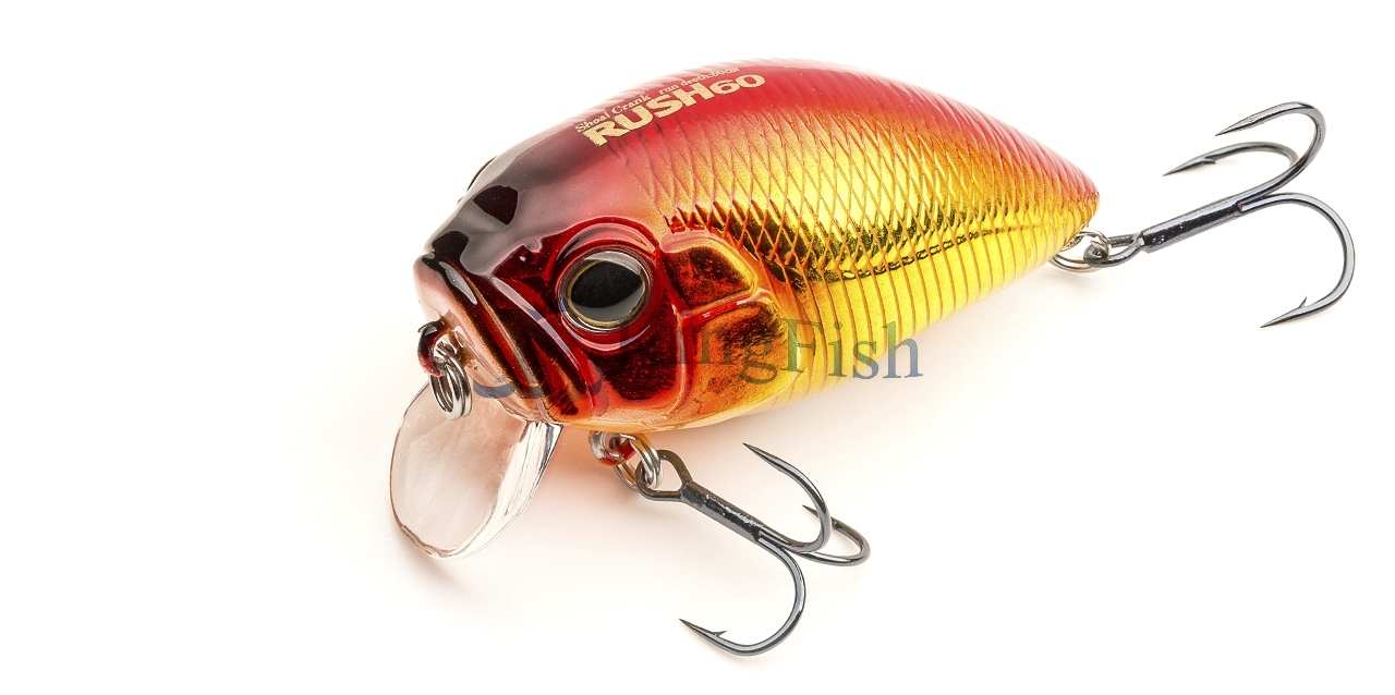 DUO Incubator Rush 60 1