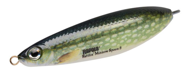 rmsr08pk