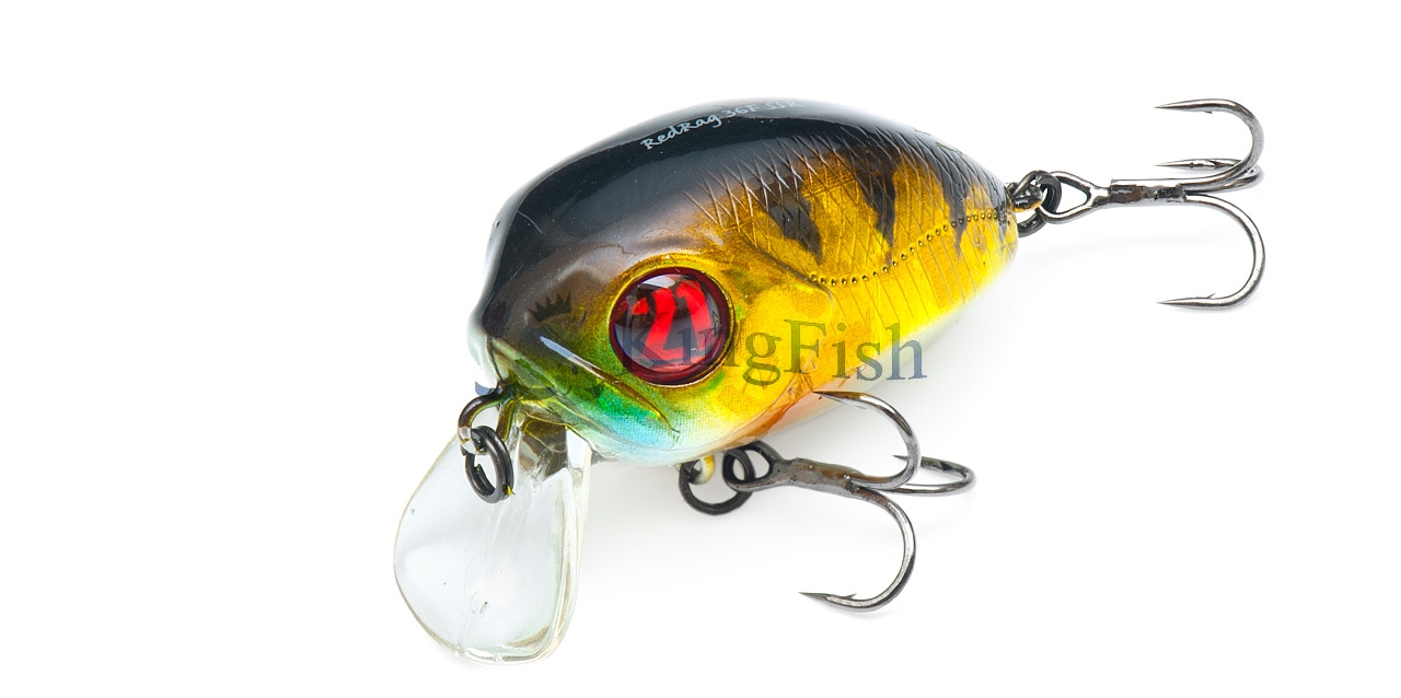 P21 NL_0028_Red Rag 36F SSR