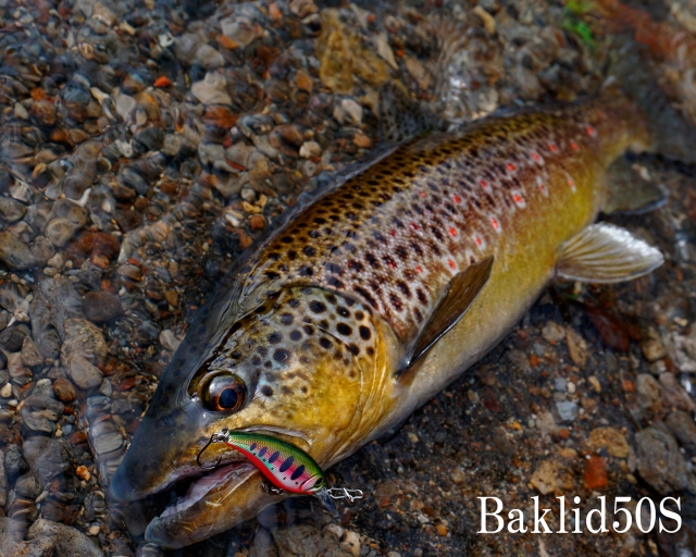 Воблер D-3 Custom Balkid 40S 2