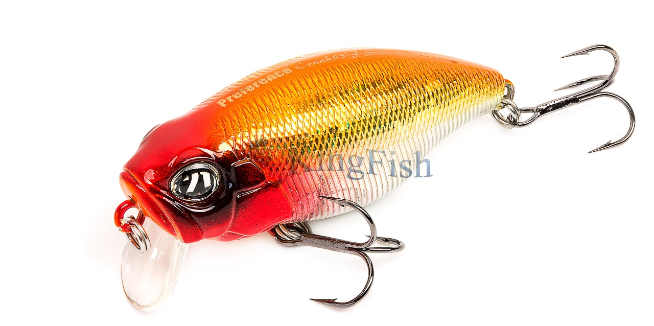 P21 NL_0049_Preference Crank 55F SR