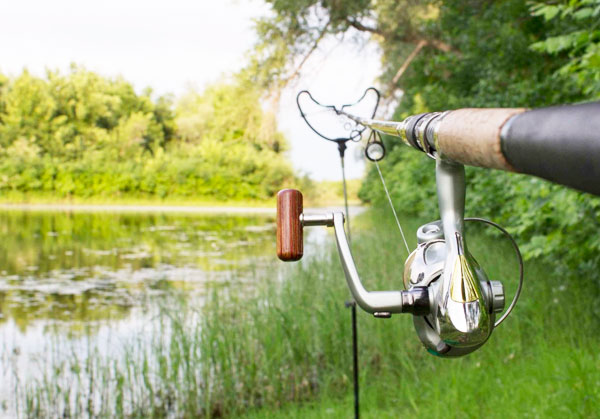 Фидерное удилище