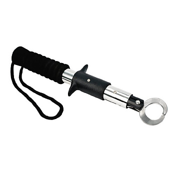 Картинка: захват stinger 