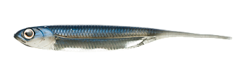 Картинка: приманка мягкая fish arrow flash j 4" sw