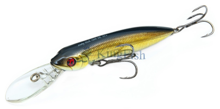 P21 NL_0063_Moby Dick 120F DR
