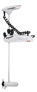 Картинка: электромотор лодочный haibo ipenguin p90