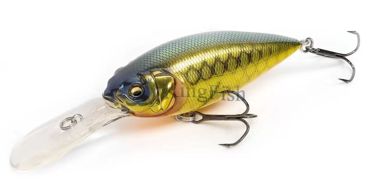 MB lures NL_0173_DX-Free 3