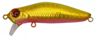 dead float60sgc