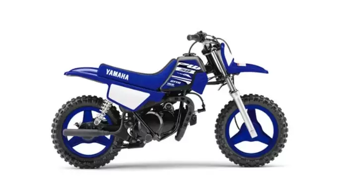 PW50 Cobalt Blue