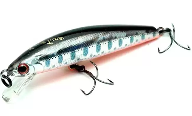 Trout Tune S