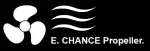 Логотип E.Chance